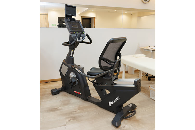 リカンベントバイク DK-R13